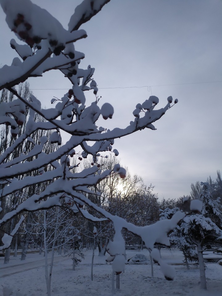 snow