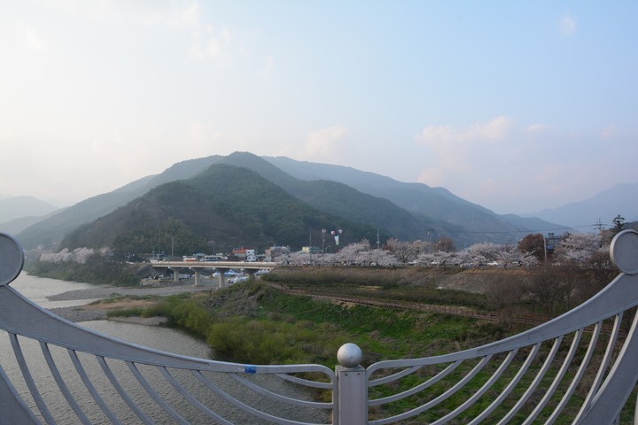 구례의봄이미지