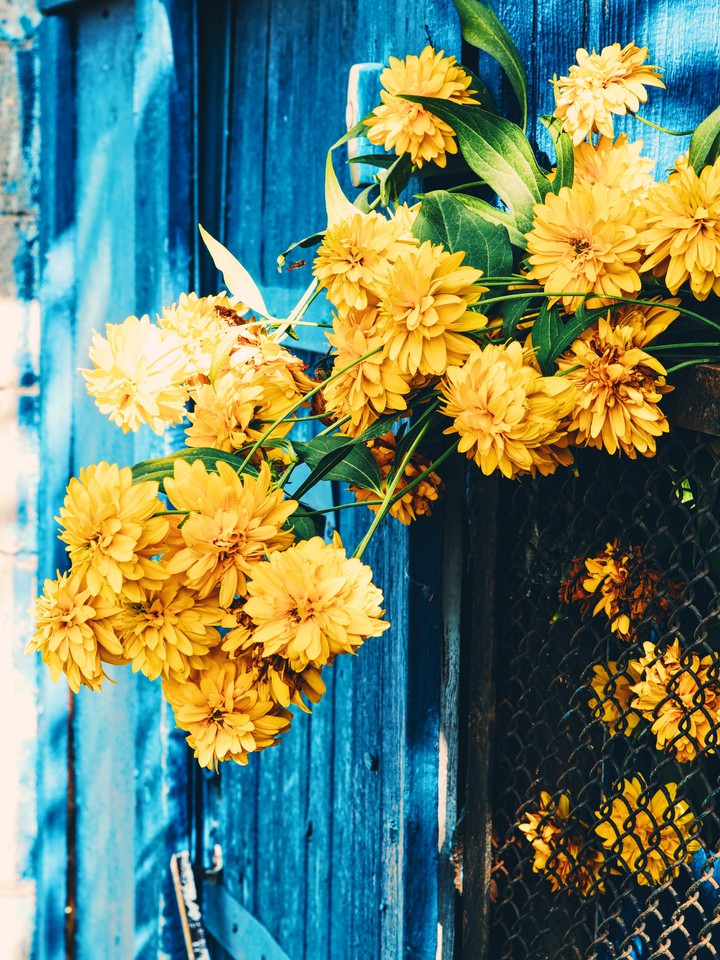 Gold flowers