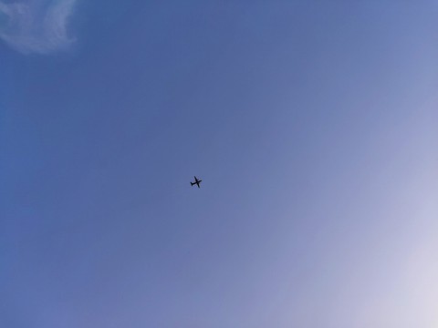fly high