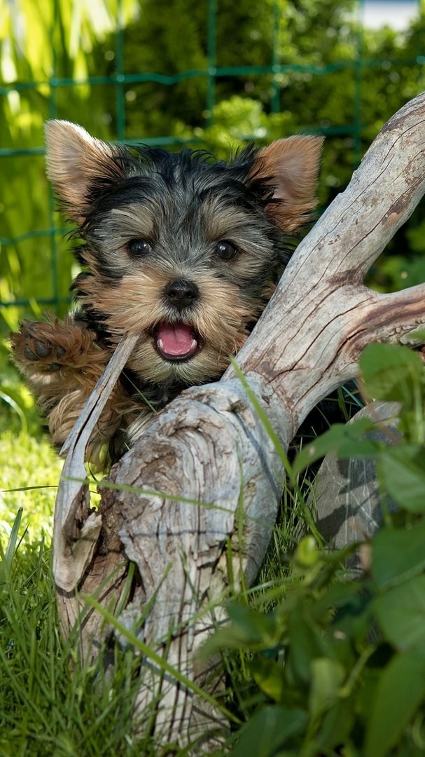 cutieee