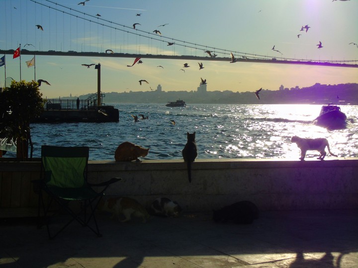 One day in İstanbul.