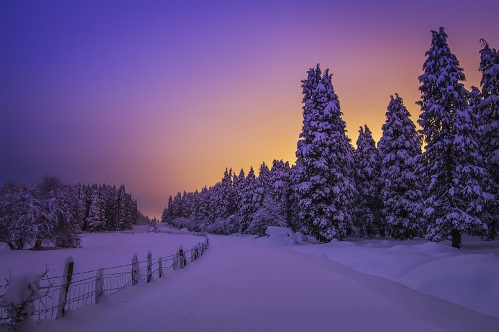winter