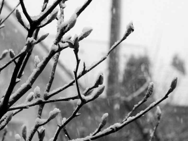 itswinter