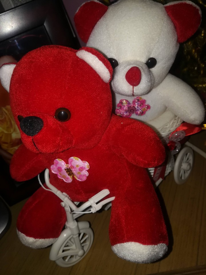 teddy love❤️❤️