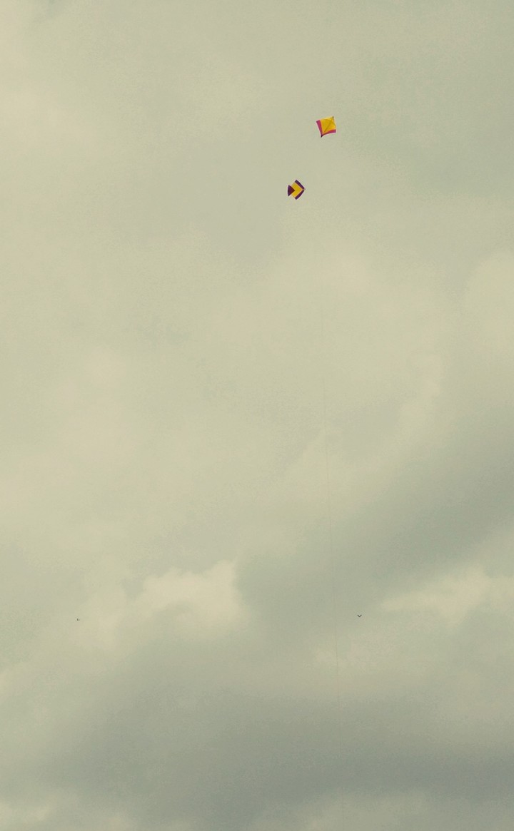 Kites