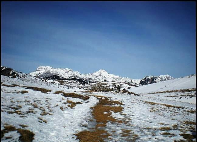 Winter in Velika planina
