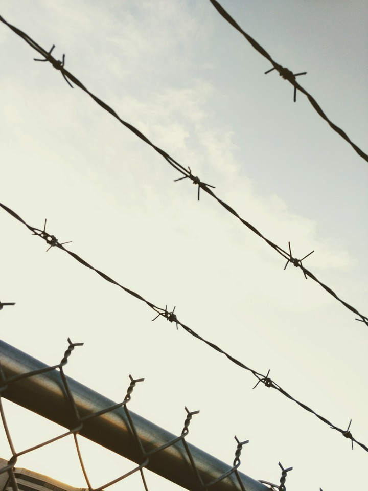 Fence