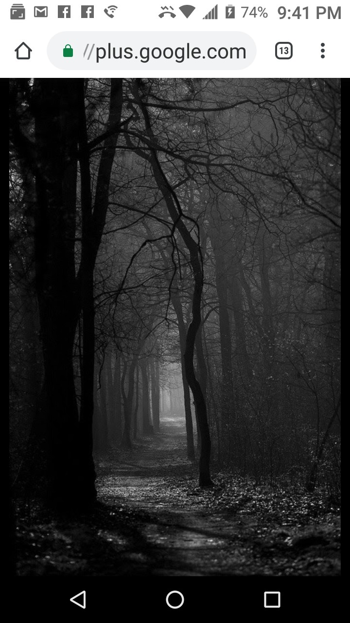 dark forest
