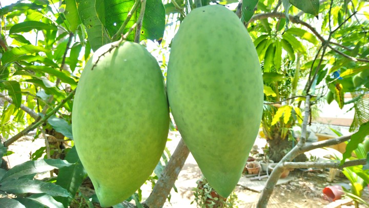 có đôi