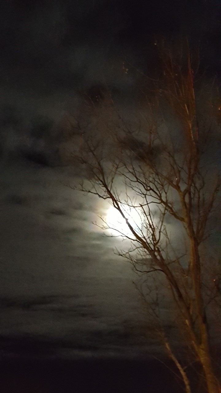Silvesternacht