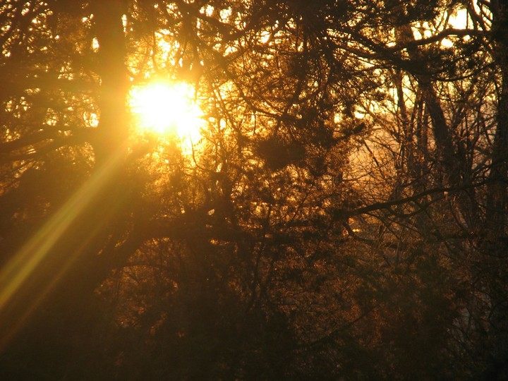 light