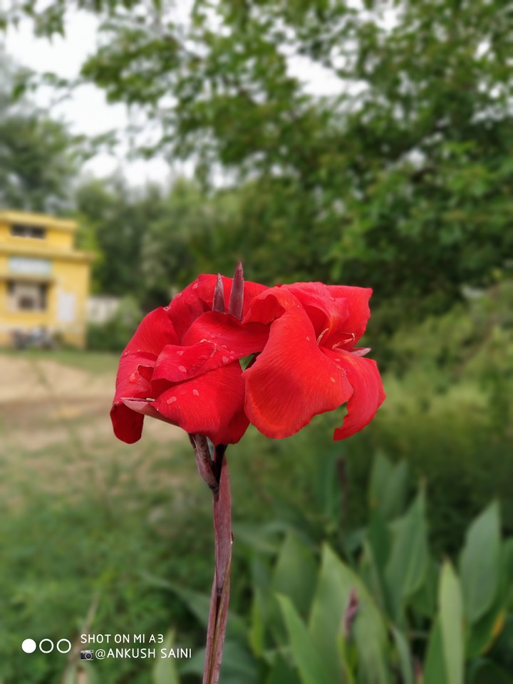 beautiful nature