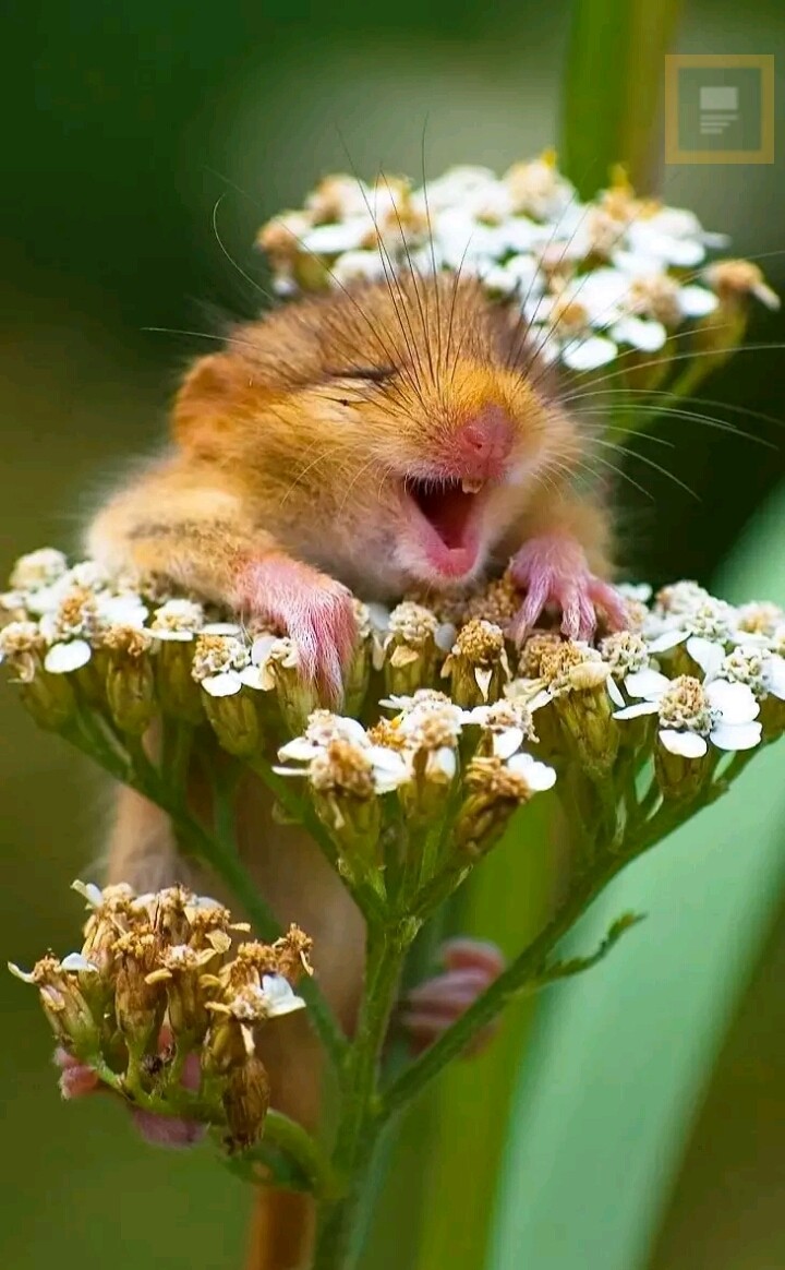 cute