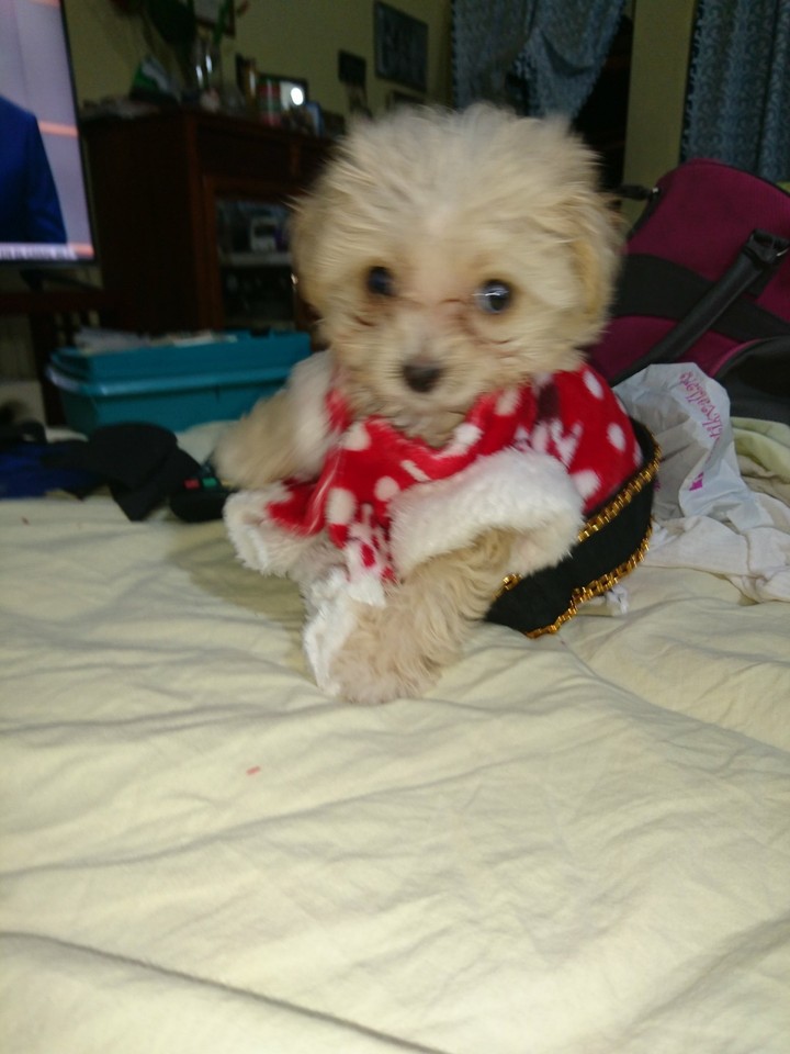 mi Lya de bebé