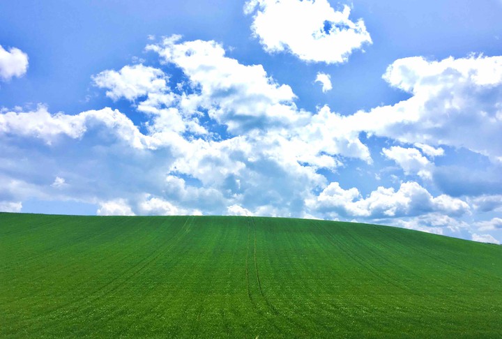 天空草地