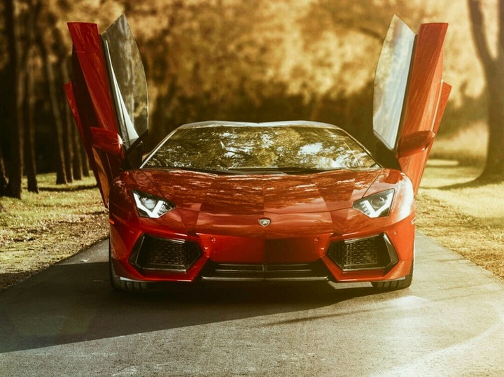 Lamborgini