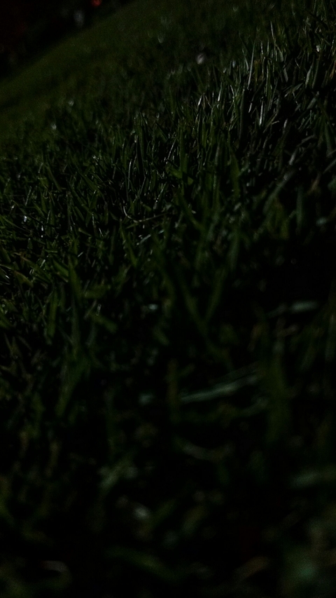 green grace