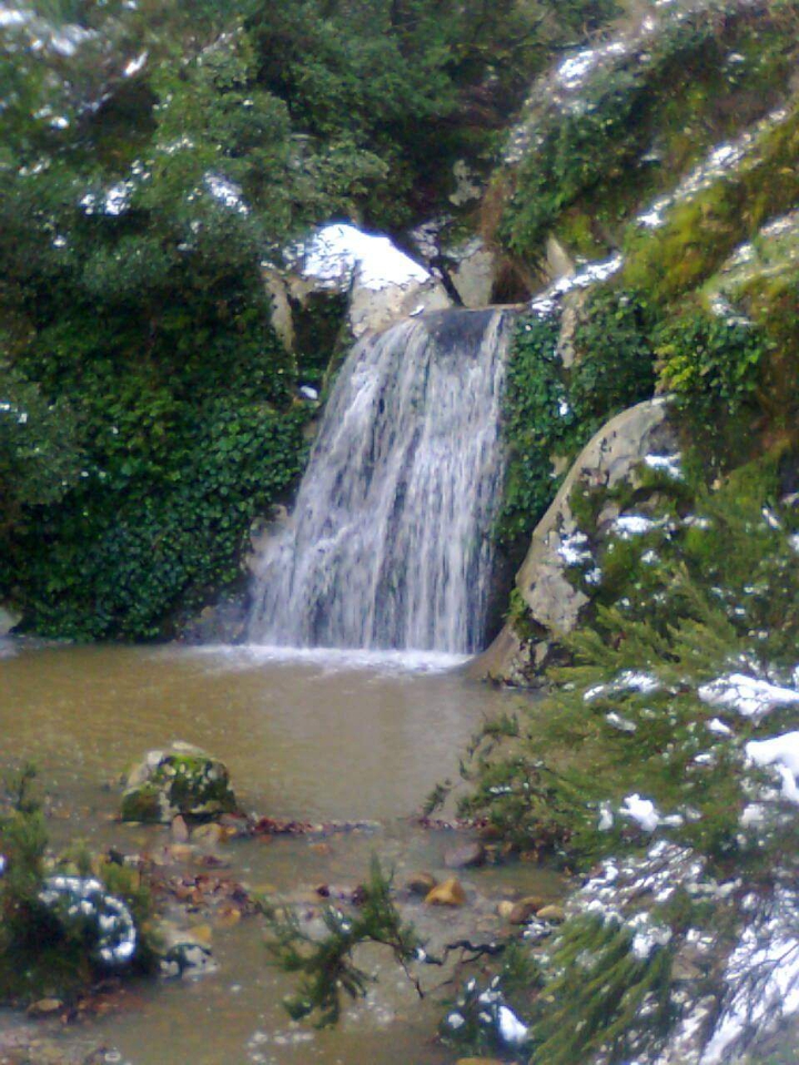 paysage