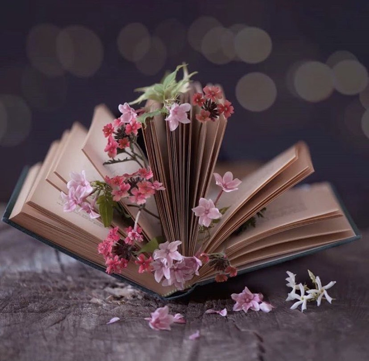 Book and flowers