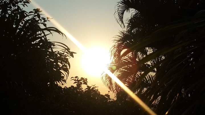 la luz que me ilumina día a día
