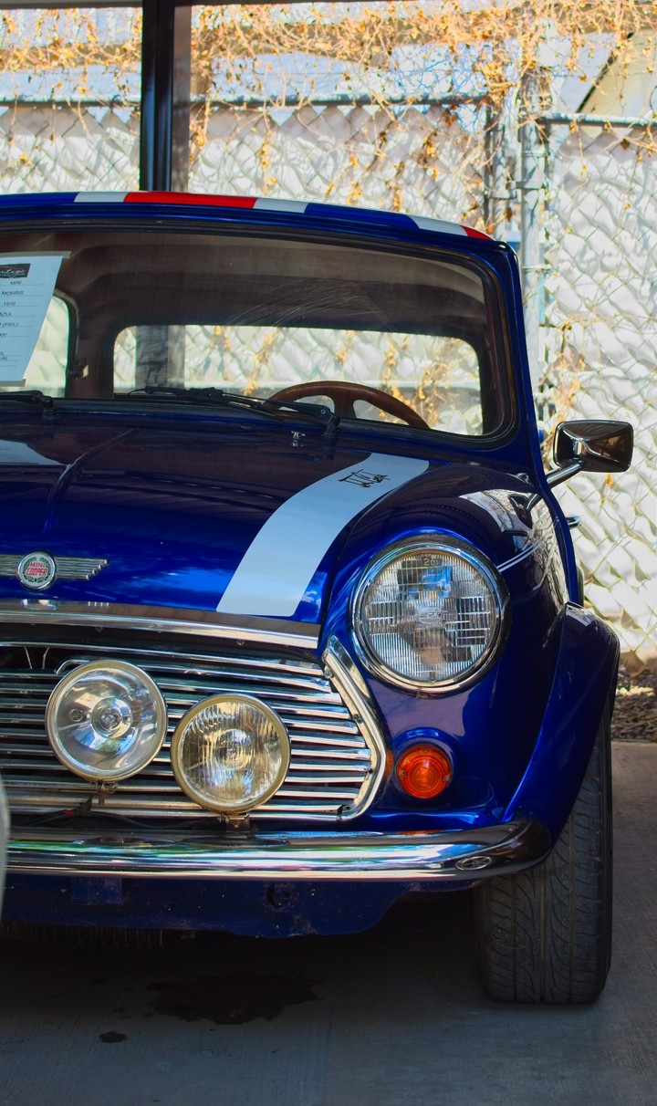 Mini Morris