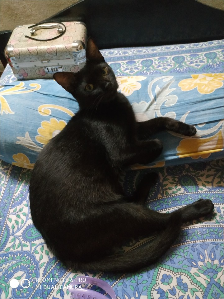 soni