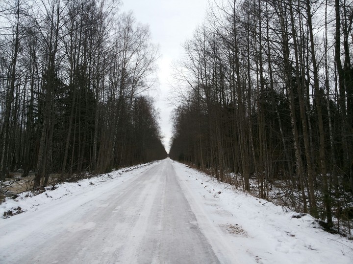 Road...