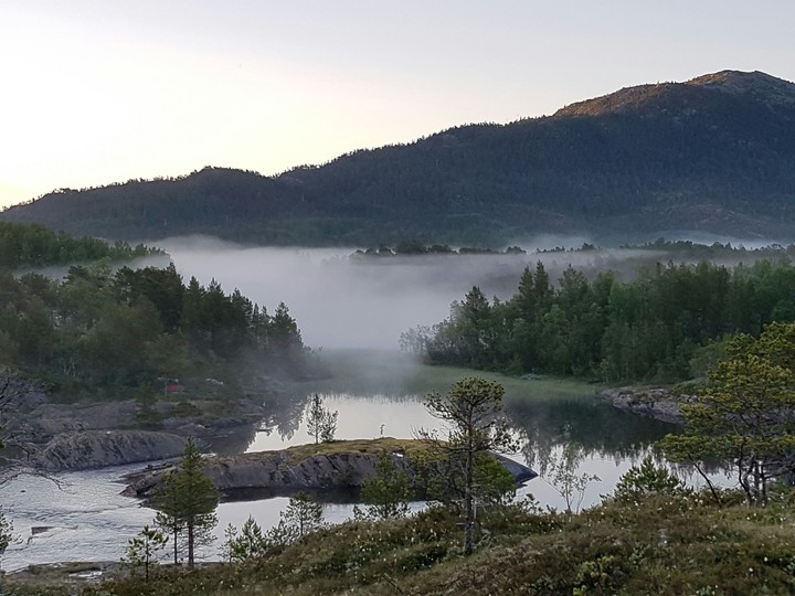 early morning fog
