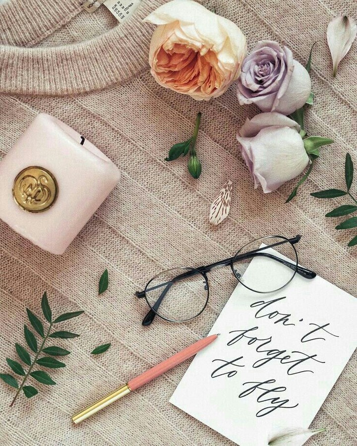 Don't forget to fly ❤