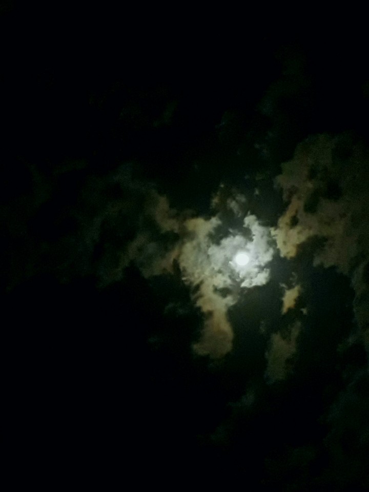 gece
