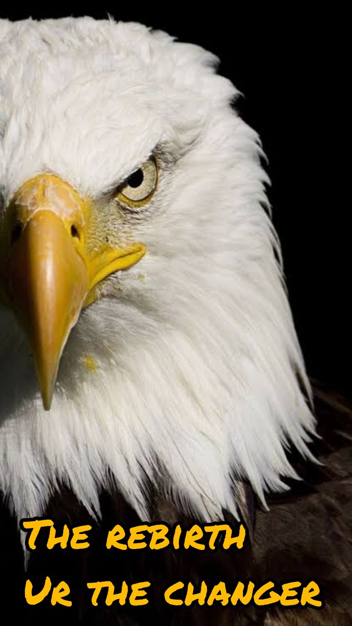 eagel life motivation wall paper