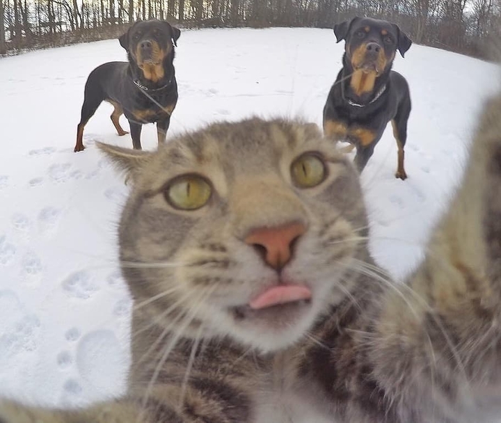 #selfie8