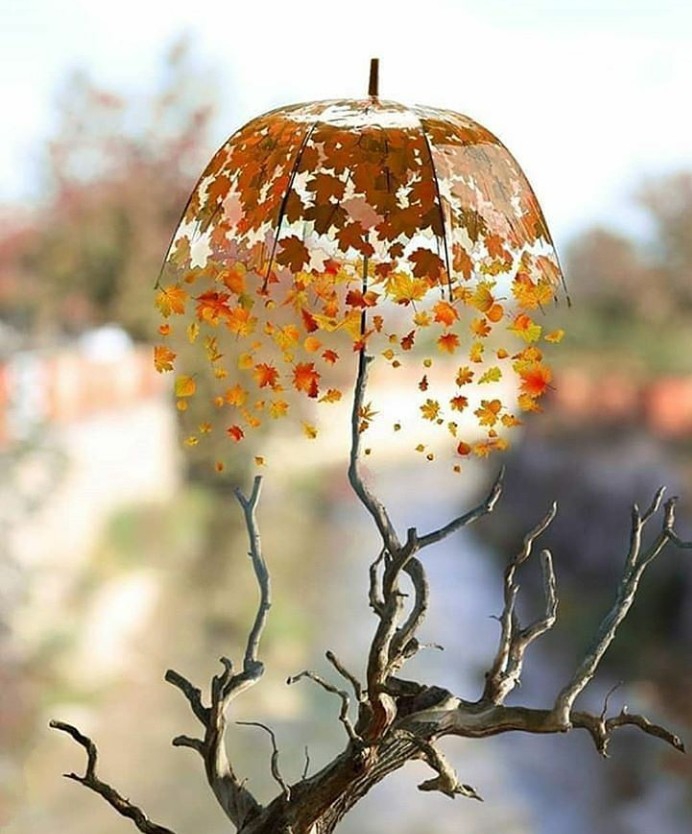 creativity