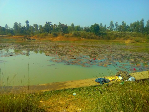 pond