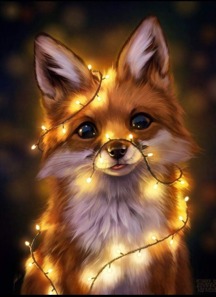 fox