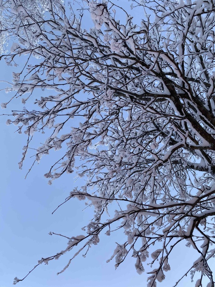 snow