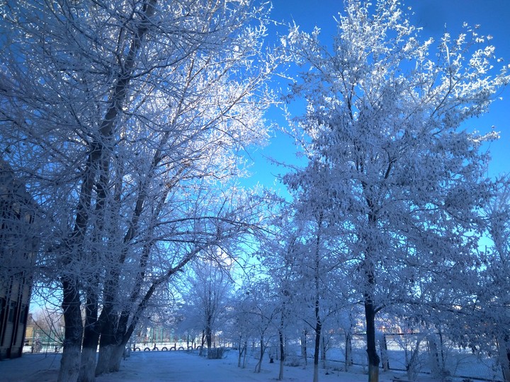 Winter in Russia