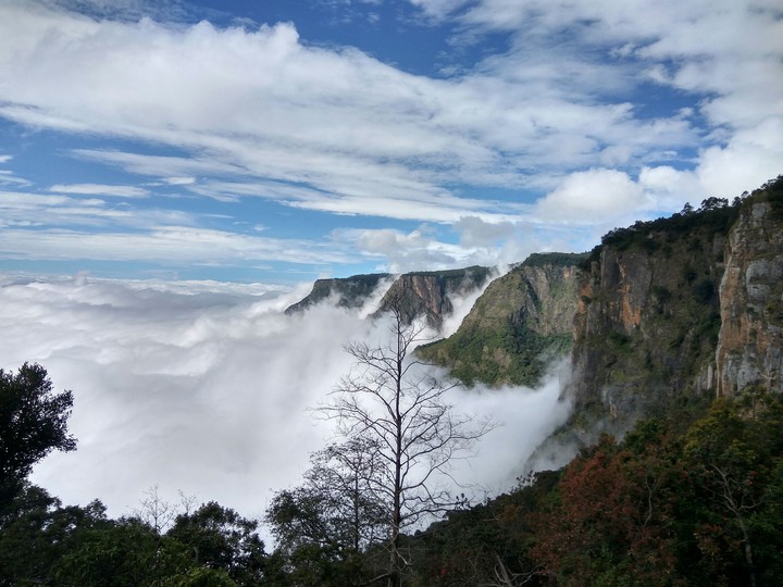 on top of the earth