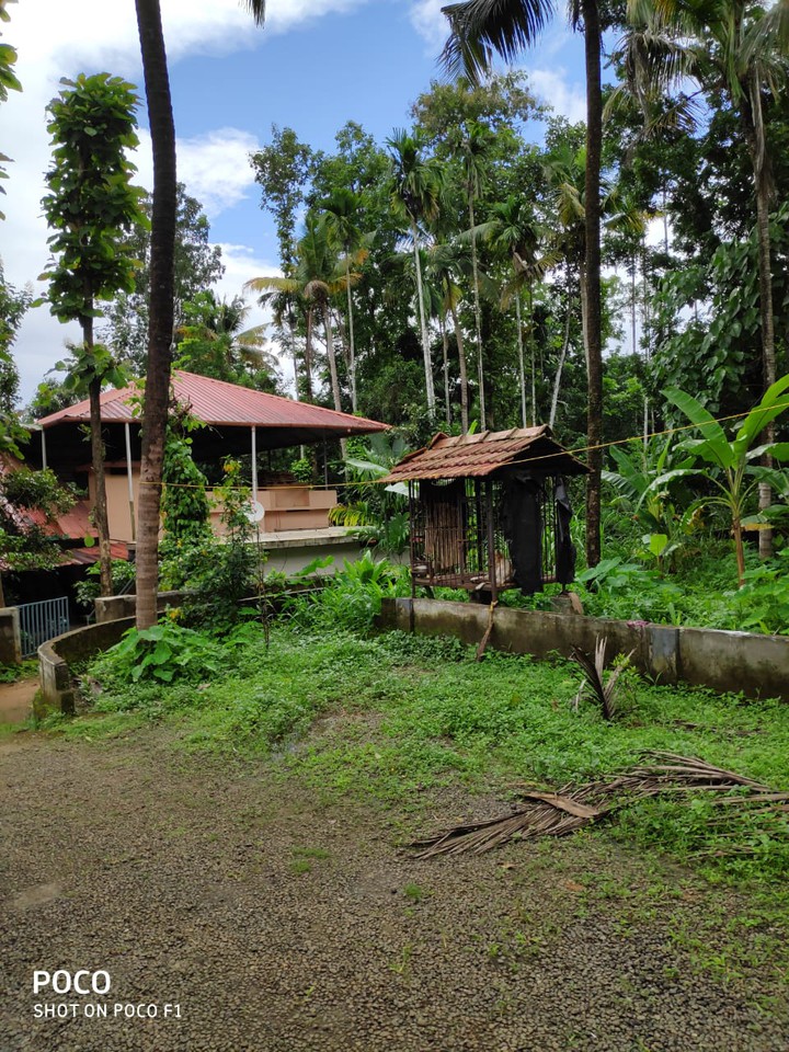 God's own country