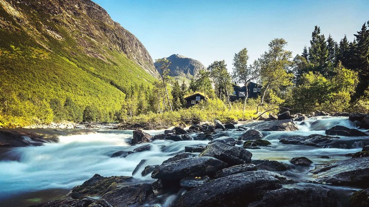 very nice nature