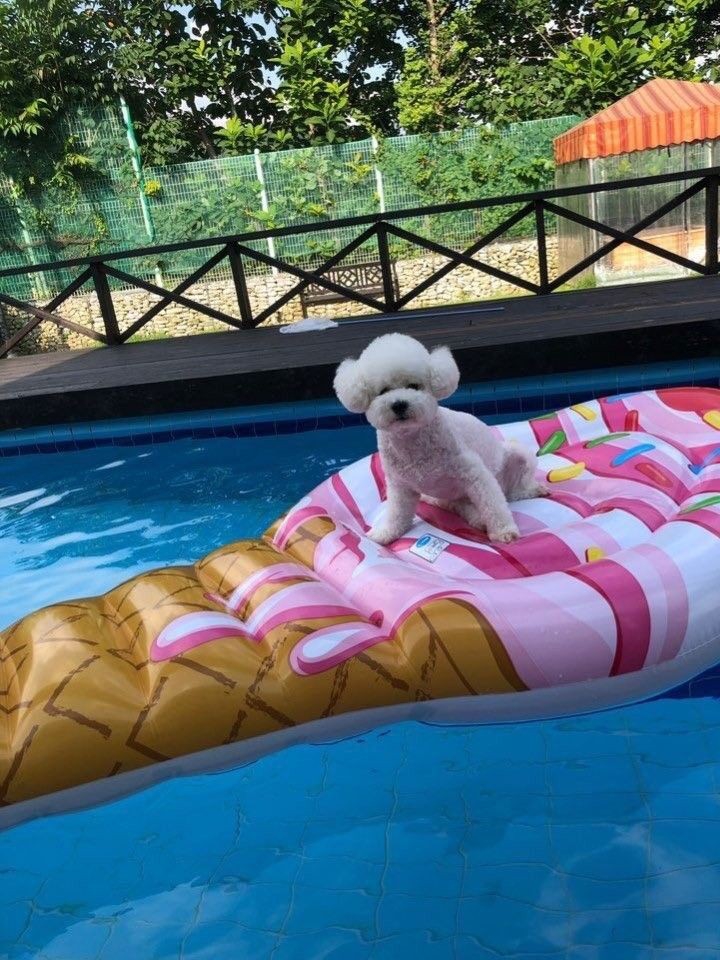 Vivi =)