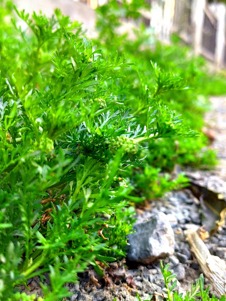 there's beauty everywhere you just need to change your persp