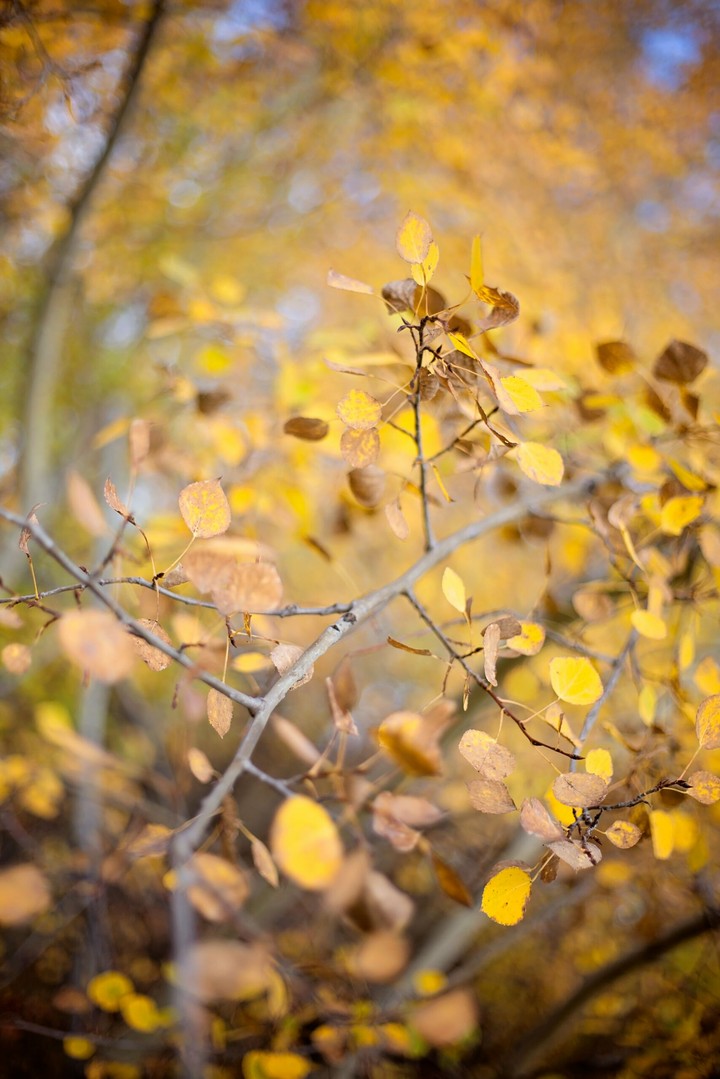 Fall is a beautiful season