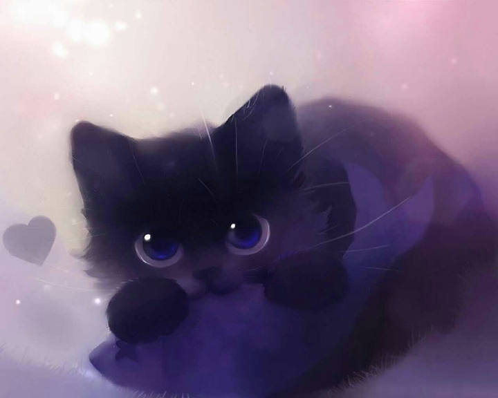 cat's