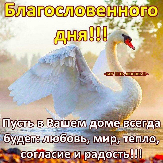 бог есть любовь
