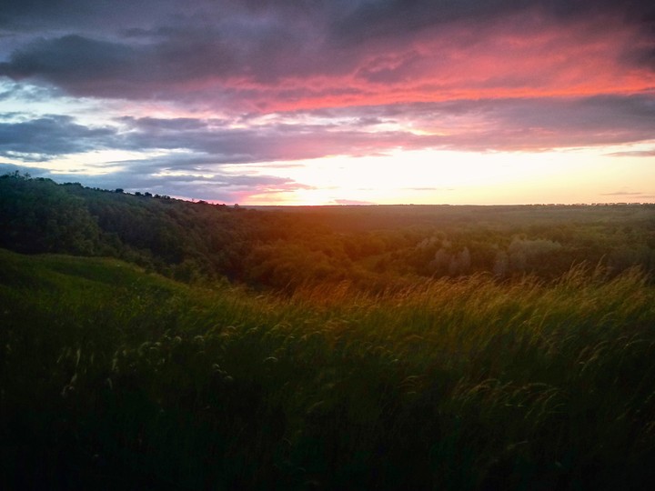Sunset over the forest