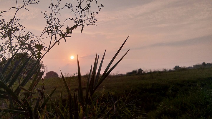 Nature