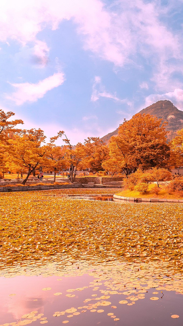 Autumn