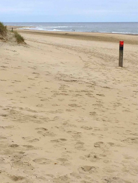 Beach time!